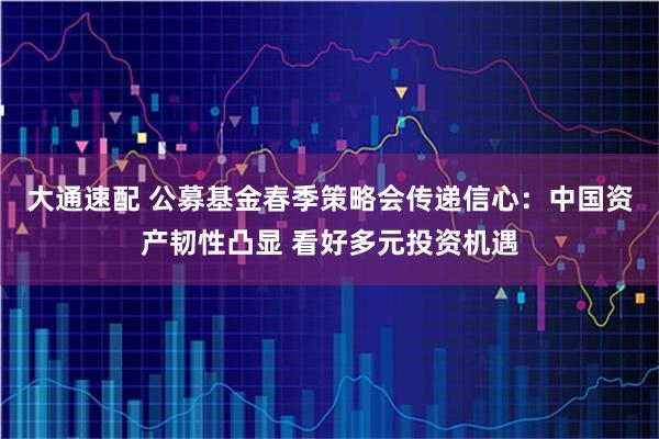 大通速配 公募基金春季策略会传递信心：中国资产韧性凸显 看好多元投资机遇